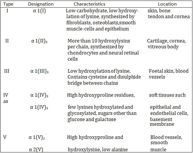 types of collagens distributed in various tissues1